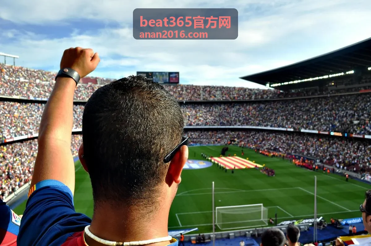 beat365官方网规则速读专题封面