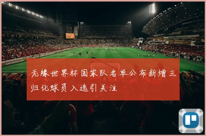 无缘世界杯国家队名单公布新增三归化球员入选引关注