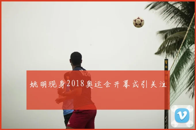 姚明现身2018奥运会开幕式引关注