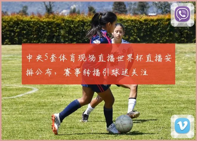 中央5套体育现场直播世界杯直播安排公布，赛事转播引球迷关注