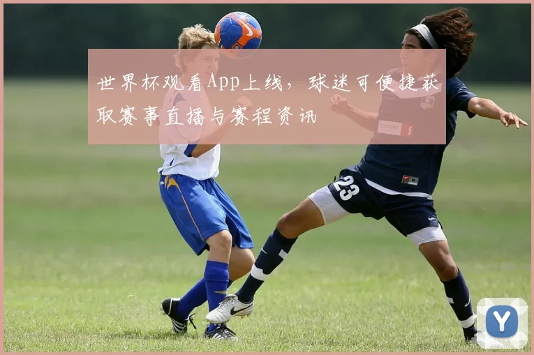 世界杯观看App上线,球迷可便捷获取赛事直播与赛程资讯