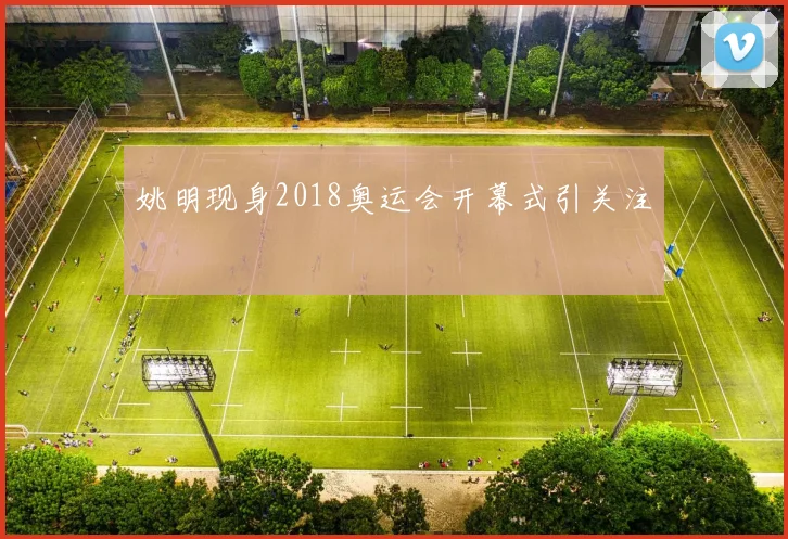 姚明现身2018奥运会开幕式引关注